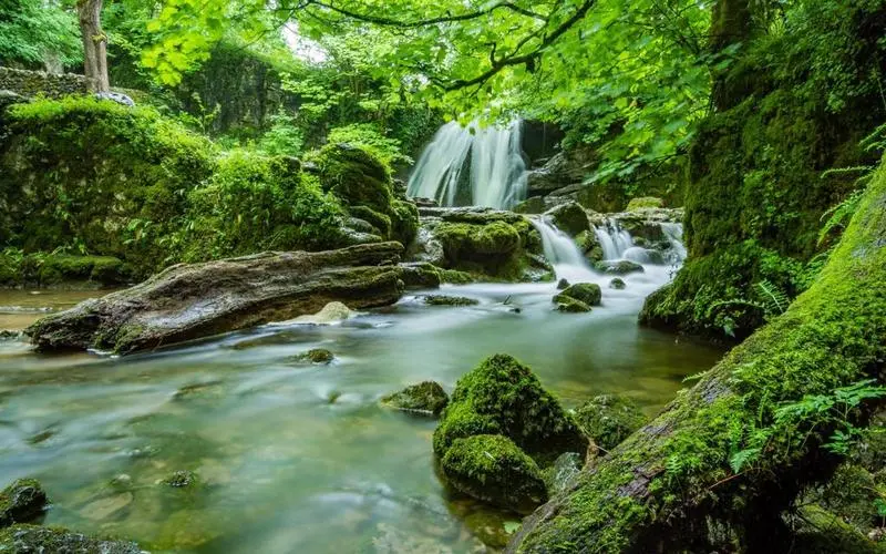 高效稳定性绿色